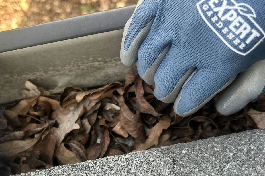 Olmos Park Gutter Cleaning