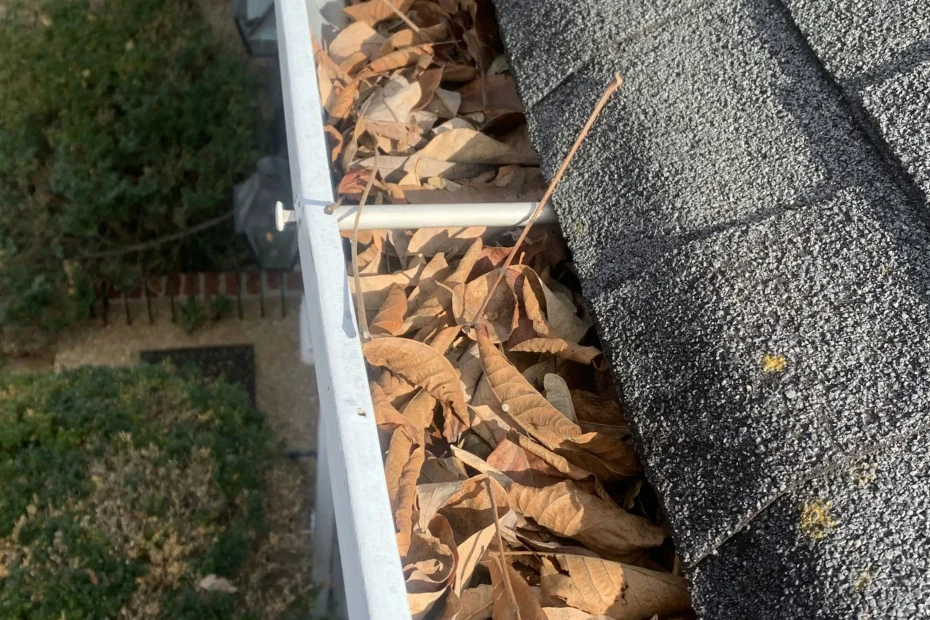 Olmos Park Gutter Cleaning