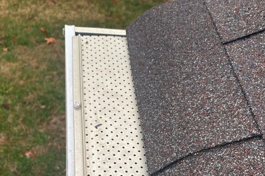 Olmos Park Gutter Cleaning